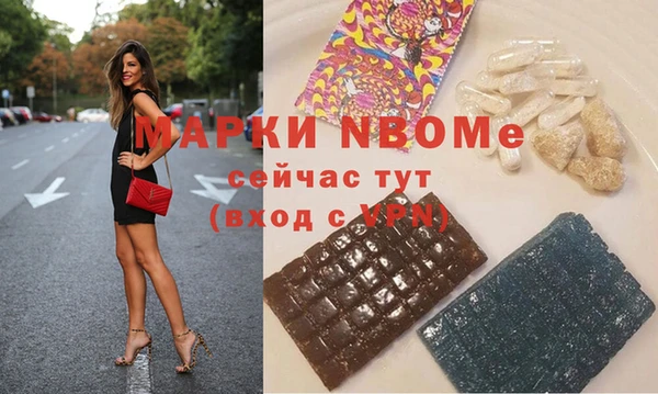 прущий лед Бородино