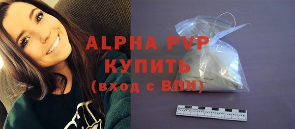 прущий лед Бородино