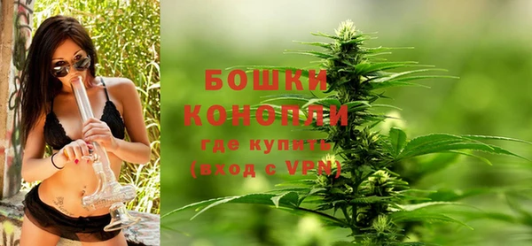 гидра Бронницы