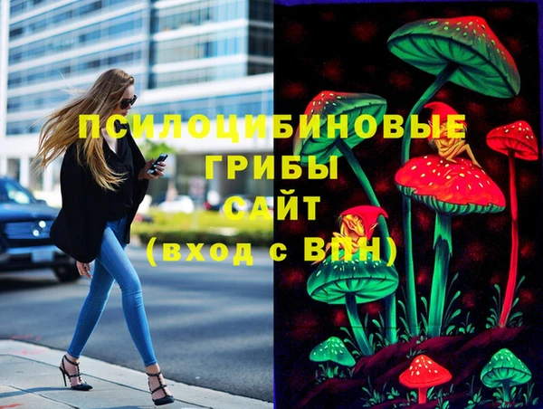 гидра Бронницы