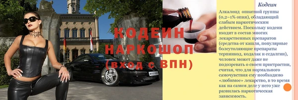 прущий лед Бородино