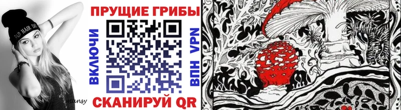 Галлюциногенные грибы мицелий  Купить  Магадан 